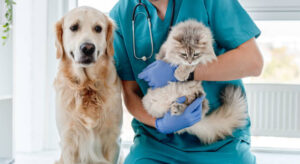 Veterinarias Cerca de Mí en México