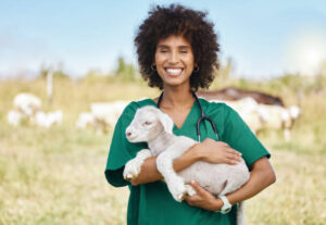 Veterinarias Cerca de Mí en México