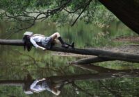 Acrostico De Sueños: La Descripción Detallada