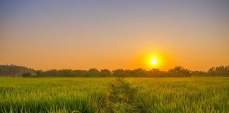 farmland price ghana