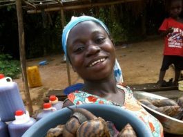 Snail Farmers In Ghana