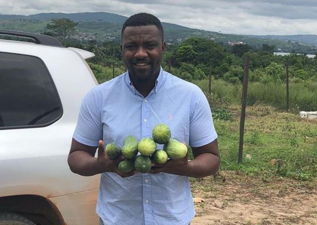 cucumber farming