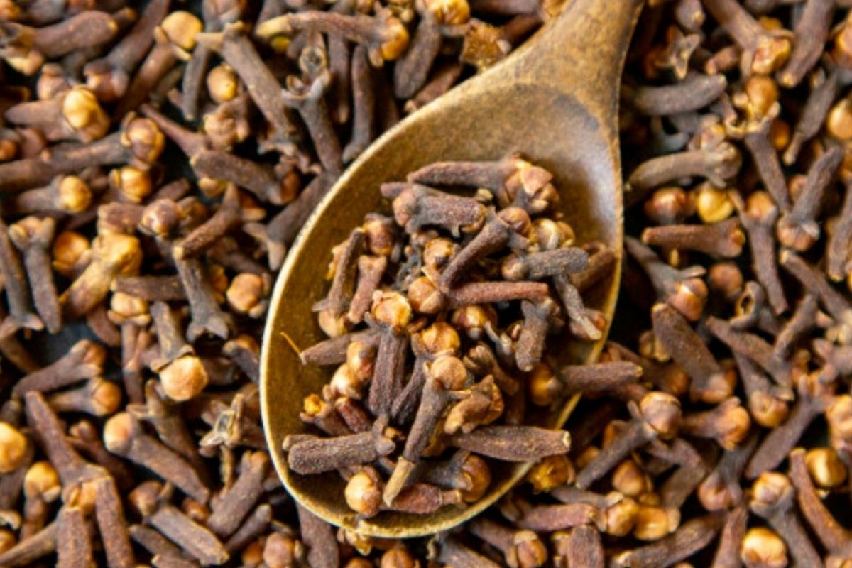 Benefits Of Drinking Clove Water 13