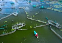 List of Fish Farming Management Software You Should Know fish farming softwares