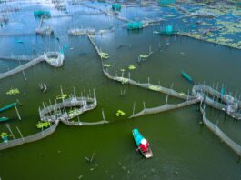 fish farming softwares