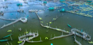 fish farming softwares