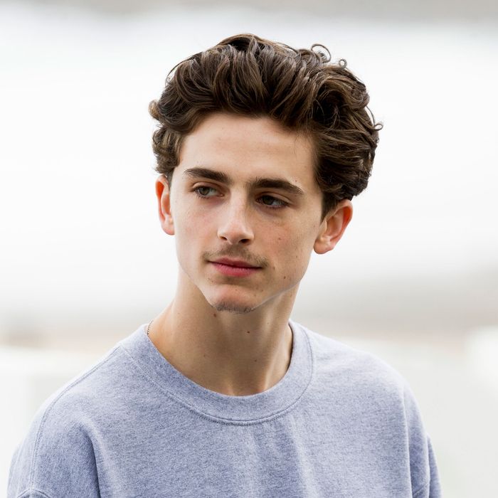 Timothée Chalamet height, weight, age